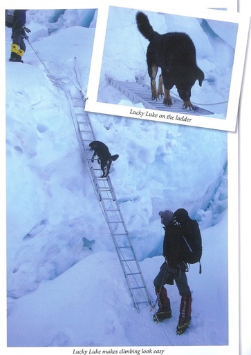Lucky Luke climbs ladders on Everest 